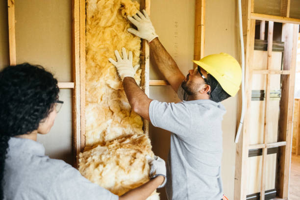 Best Insulation Replacement Services  in Kingston Estates, NJ